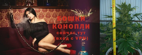 mdpv Новозыбков